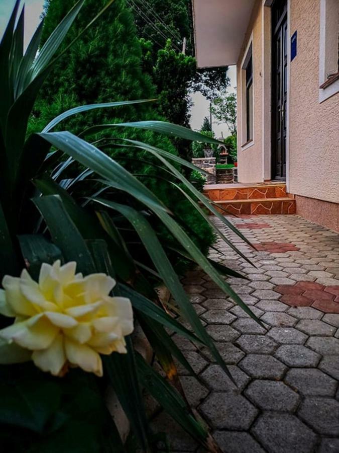 Gacka-Beautiful Place In Nature Otočac Extérieur photo